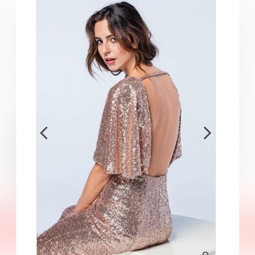 Watters Bridesmaids Elson Eclat Sequin Small NWT